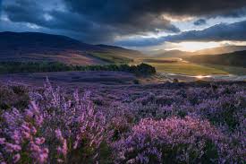 Scottish History
